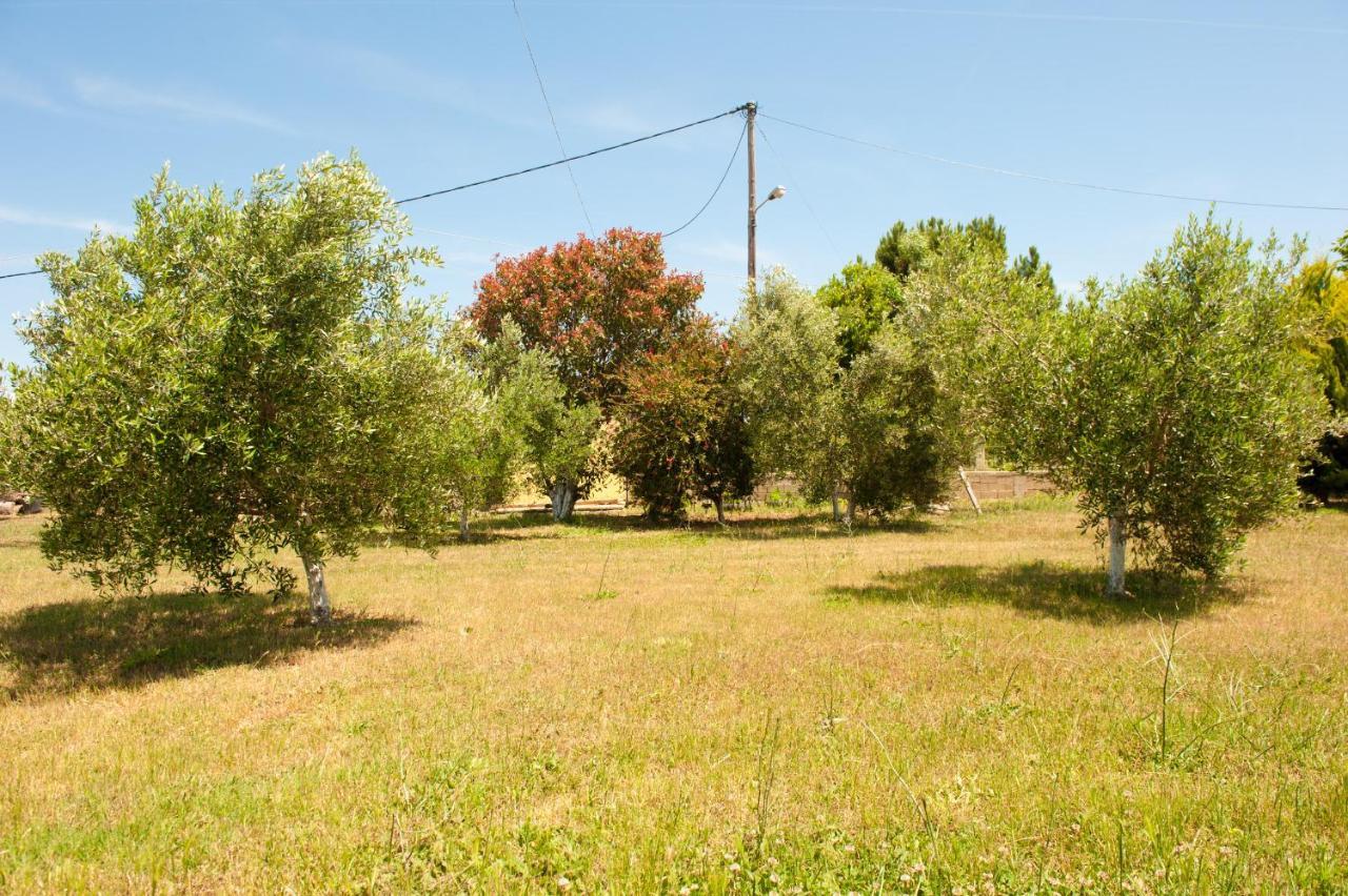 Olives Estate Apartments Grande Превеза Екстер'єр фото